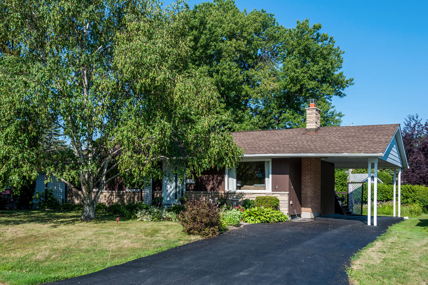 Hillview Road B Team Ottawa